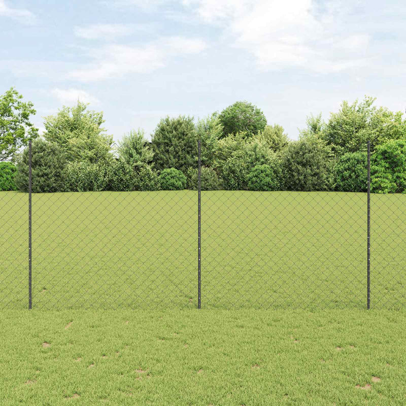Load image into Gallery viewer, Vidaxl hek met paal grijs 1,6 x 10 m staal en pvc