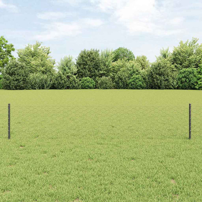 Load image into Gallery viewer, Vidaxl hek met paal grijs 0,4 x 10 m staal en pvc
