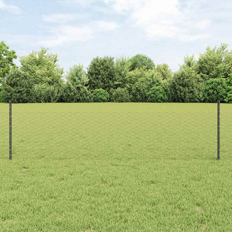 Load image into Gallery viewer, Vidaxl hek met paal grijs 0,5 x 25 m staal
