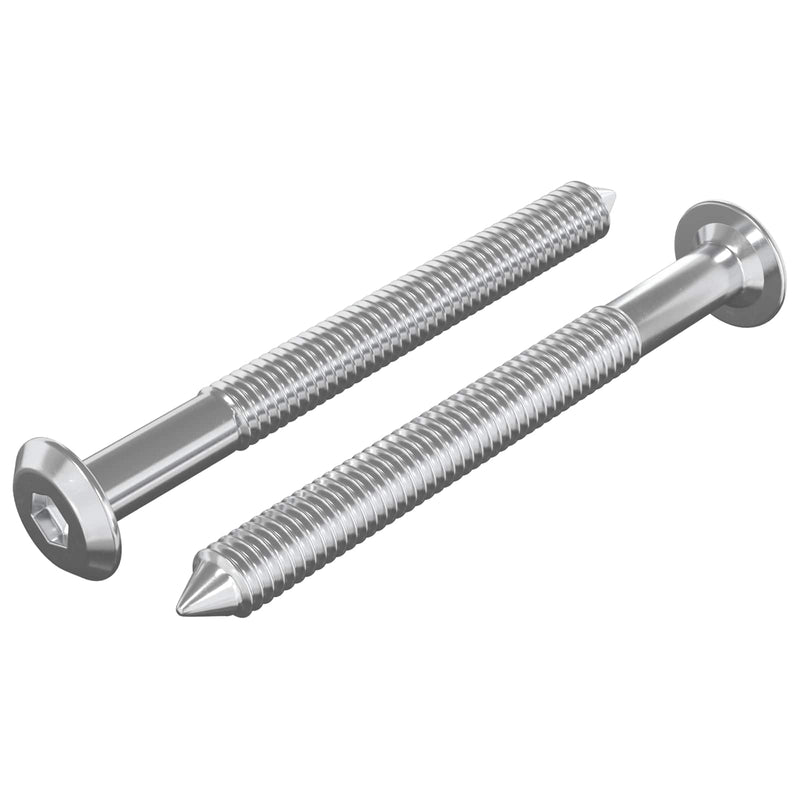 Load image into Gallery viewer, Vidaxl meubelschroeven 2 pcs zilver m6 x 60 mm staal