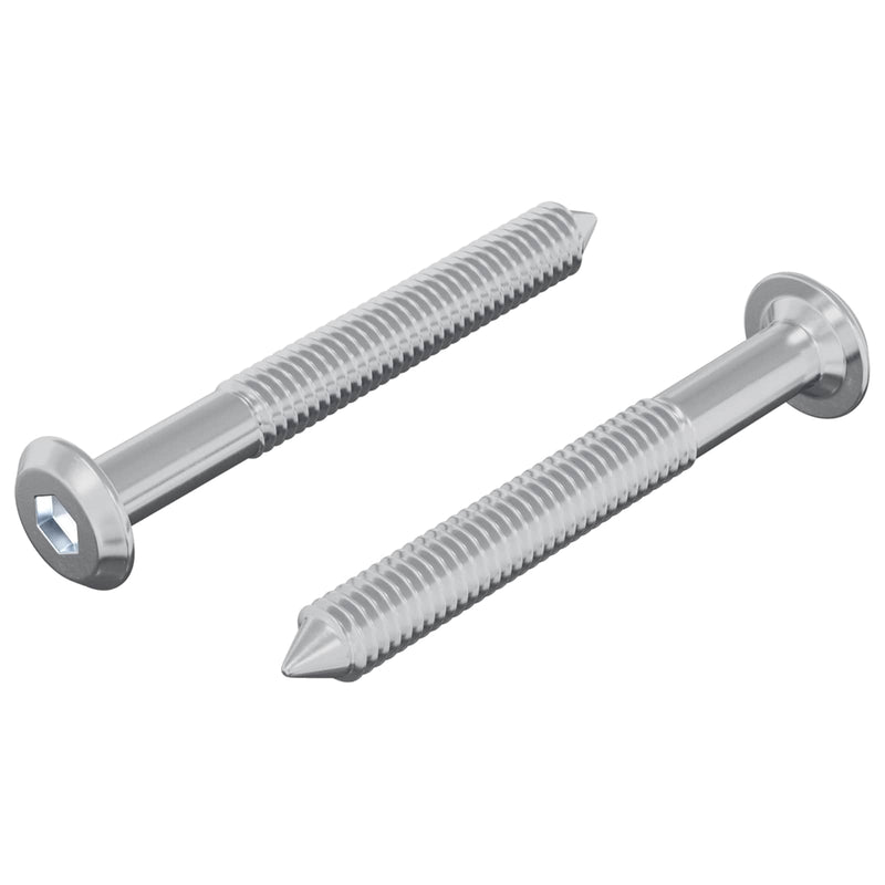 Load image into Gallery viewer, Vidaxl bout 2 pcs zilver m6 x 50 mm staal