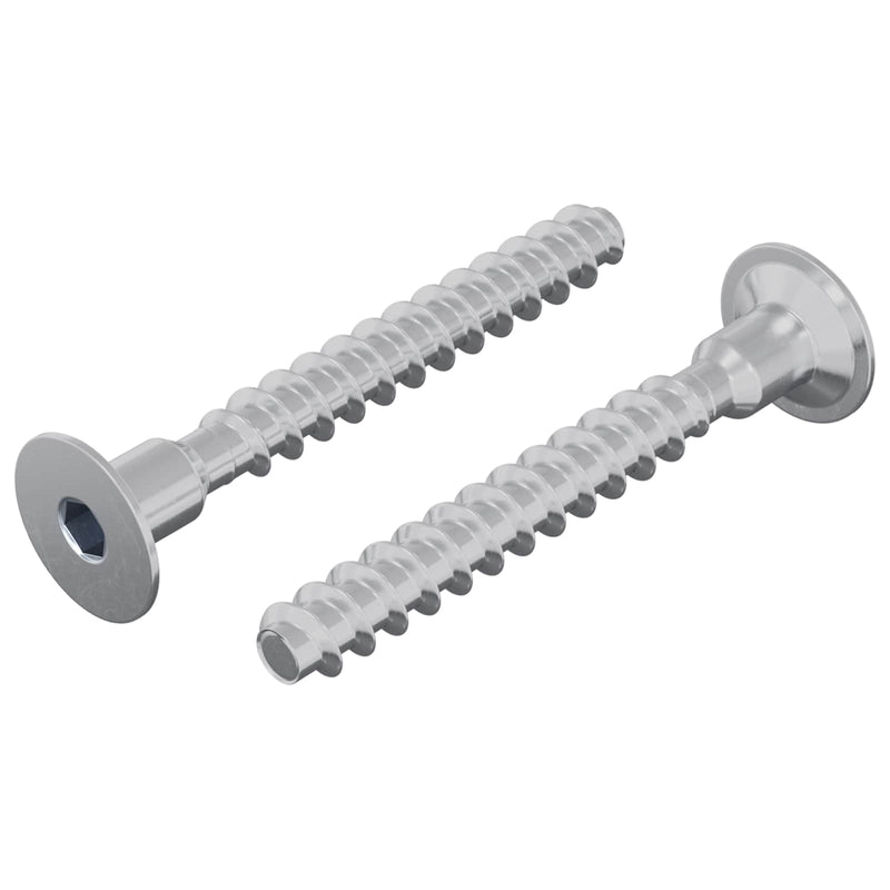 Load image into Gallery viewer, Vidaxl bout 2 pcs verzinkt 5 x 40 mm ijzer