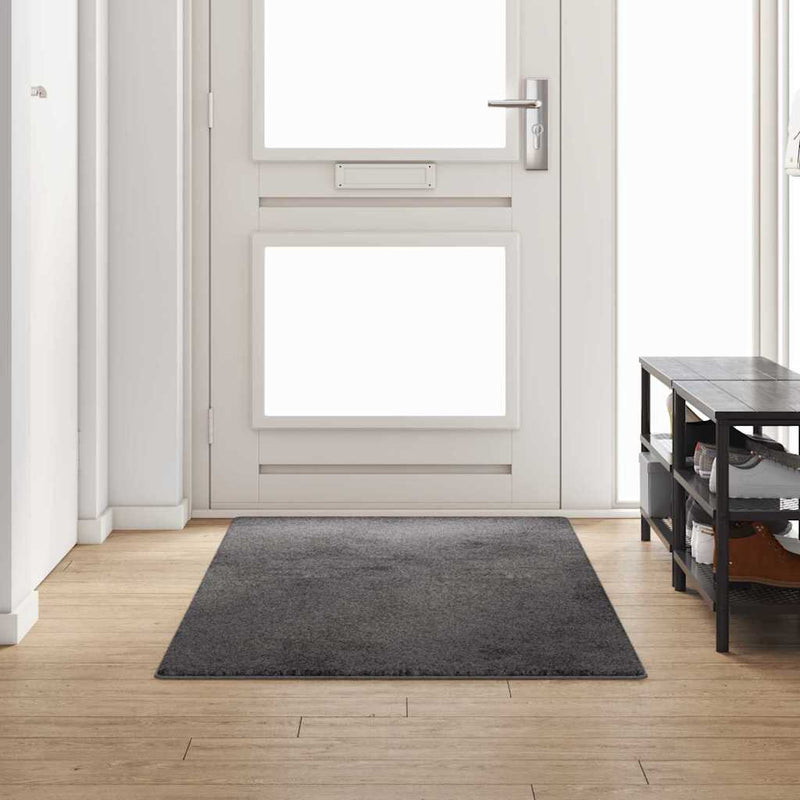 Load image into Gallery viewer, Vidaxl tapijt loper grijs 100 x 250 cm 100% polypropylene tuft
