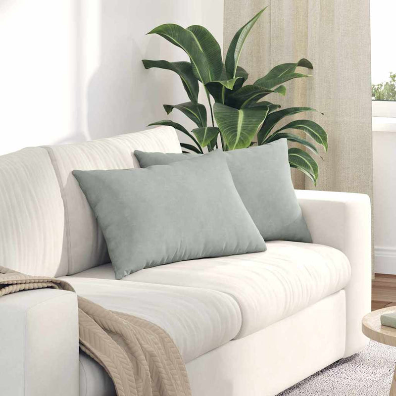 Load image into Gallery viewer, Vidaxl sofa kussens 2 stuks lichtgrijs 60 x 40 cm cordstof