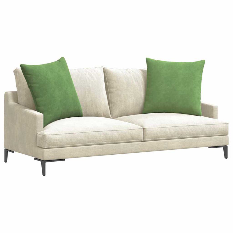 Load image into Gallery viewer, Vidaxl sofa kussens 2 stuks lichtgroen 60 x 60 cm cordstof