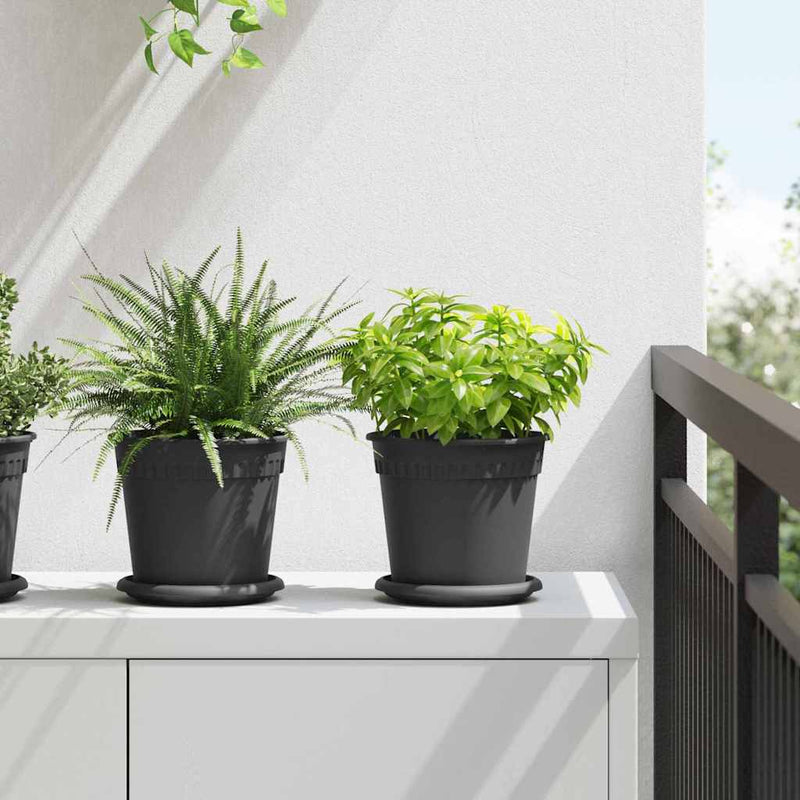 Load image into Gallery viewer, Vidaxl ronde bloemenschalen 6 pcs zwart ø 15,5 x 2 cm kunststof