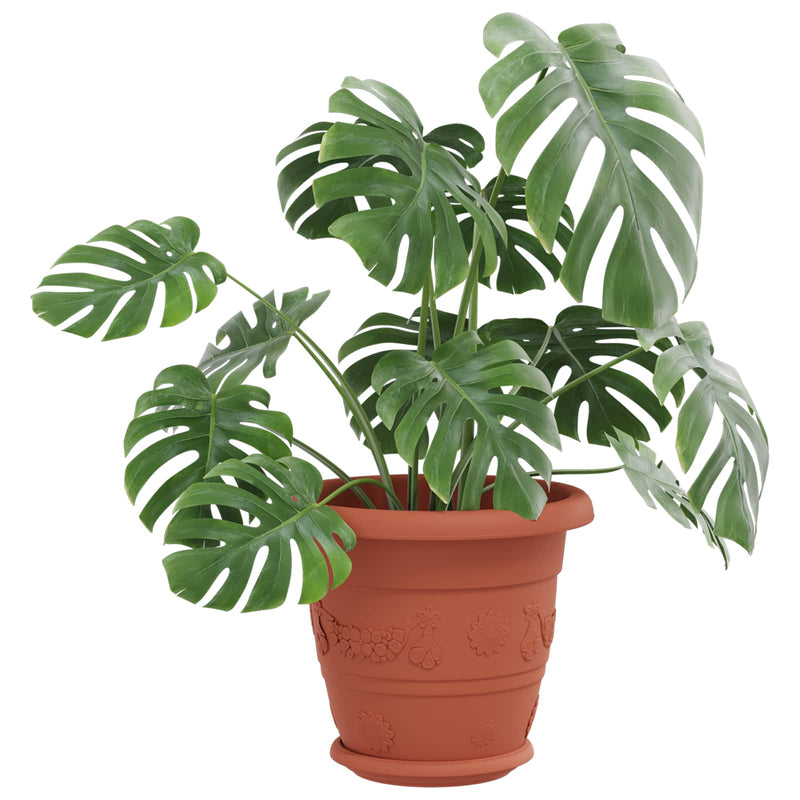 Load image into Gallery viewer, Vidaxl plantenpotten 6 pcs baksteenrood ø 26 x 21.5 cm kunststof
