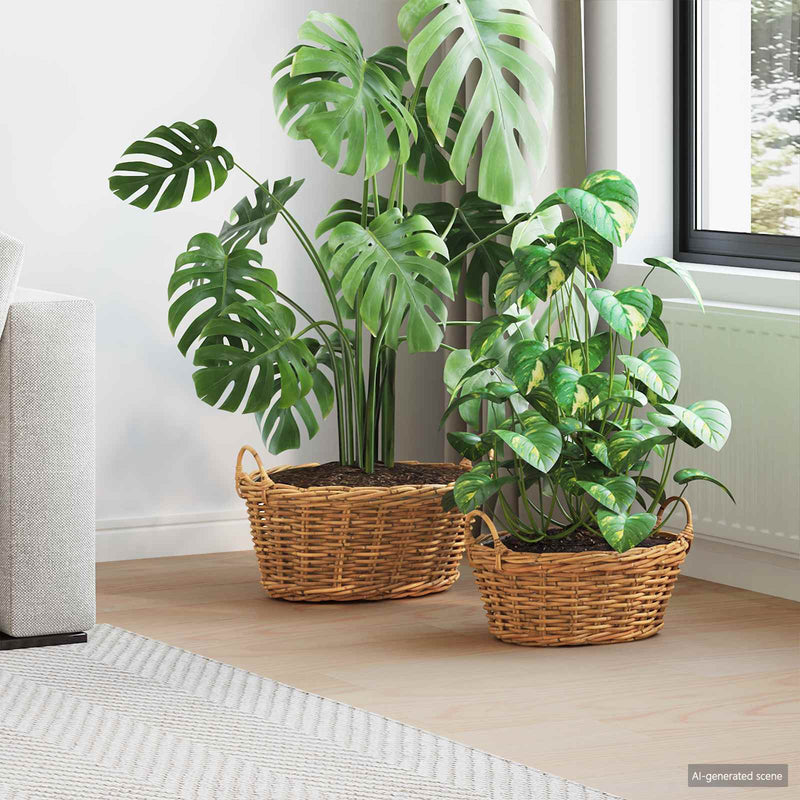 Load image into Gallery viewer, Vidaxl plantenmand met opslag 2 pcs bruin lacak riet