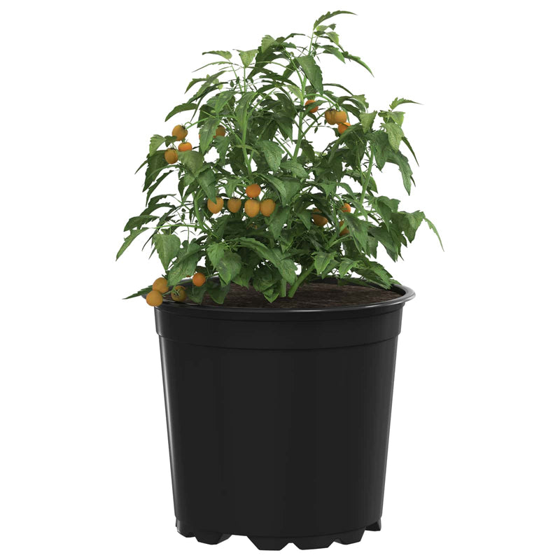 Load image into Gallery viewer, Vidaxl bloempot 100 pcs zwart ø 15 x 13 cm kunststof