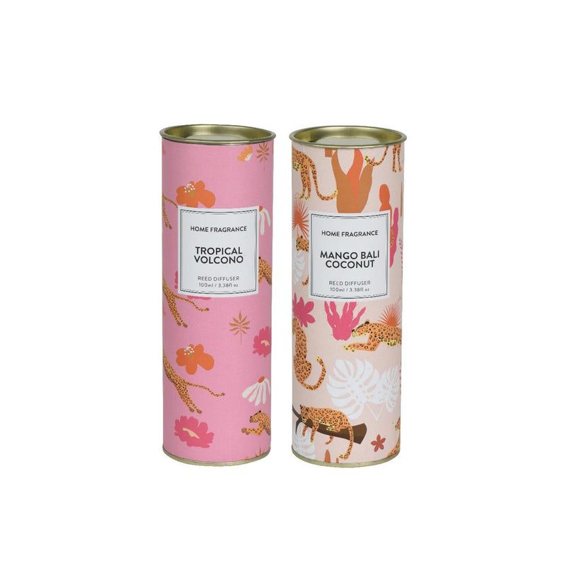 Afbeelding laden in galerijviewer, Decoris diffuser glas in koker 100ml ã˜6,5xh18,5cm 2 assorti