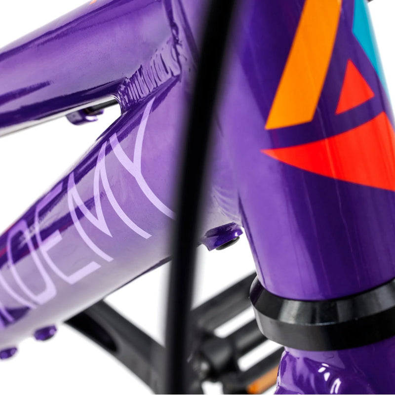 Load image into Gallery viewer, Academy grade 2 belt children's bike