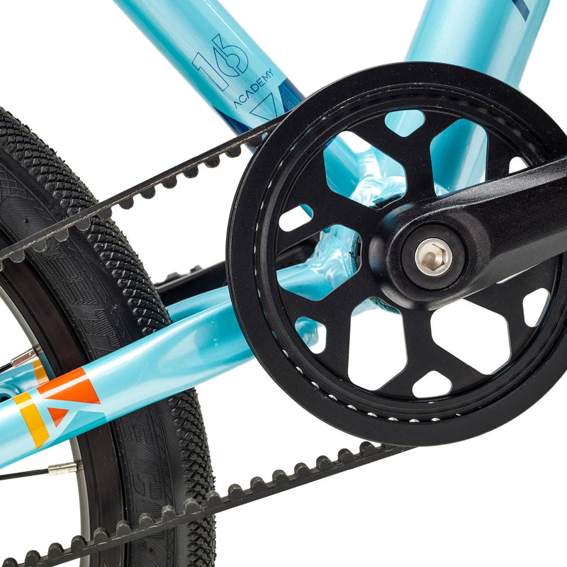Load image into Gallery viewer, Academy grade 3 belt children's bike