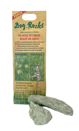 Load image into Gallery viewer, Dog rocks Dog rocks