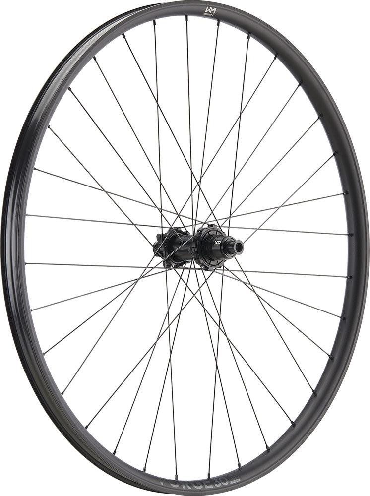 Load image into Gallery viewer, Newmen forge 30 dh 29 6-bolt 12x148 fade rear wheel