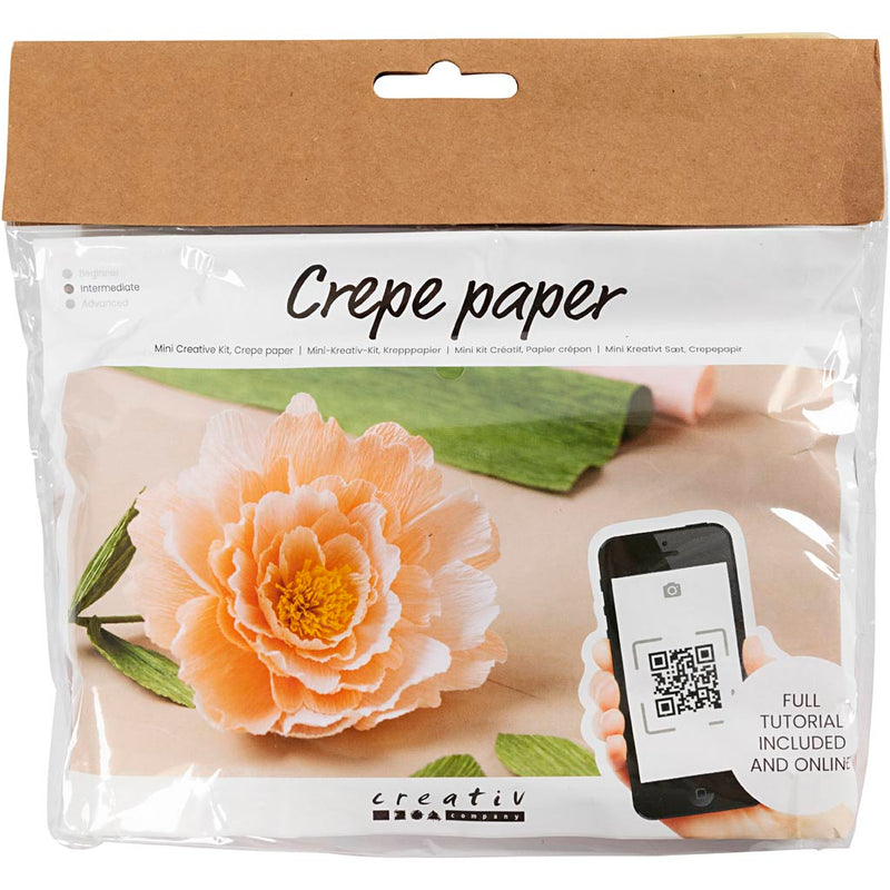 Afbeelding laden in galerijviewer, Https: www.cchobby.nl mini-hobbyset-crepepapier-pioenroos-crepe-verhouding-180-105-gr-1-doos