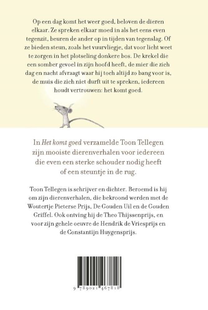Load image into Gallery viewer, Toon tellegen: het komt goed. cadeauboek