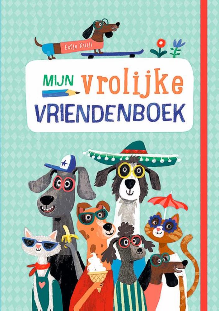 Load image into Gallery viewer, Mijn vrolijke vriendenboek 6+