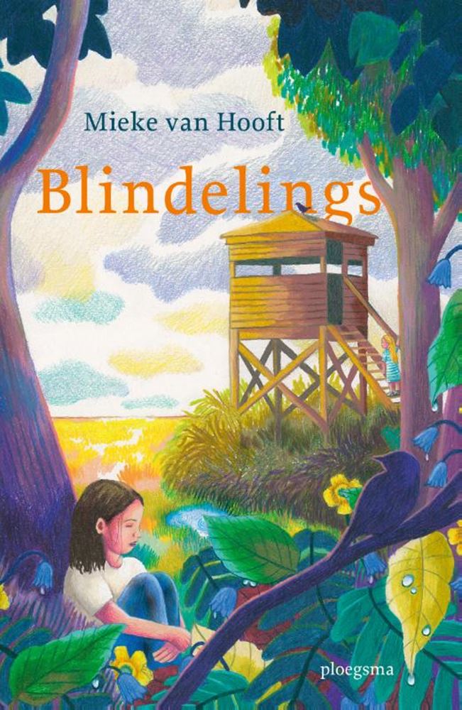 Load image into Gallery viewer, Verhalenboek: blindelings 10+