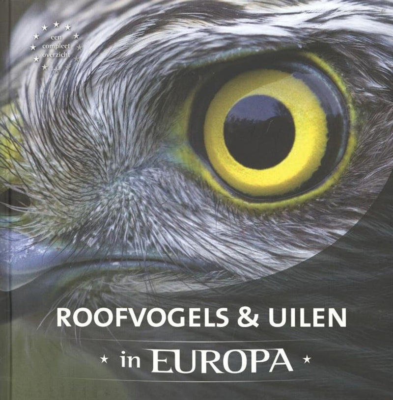 Load image into Gallery viewer, Roofvogels uilen in europa volwassene