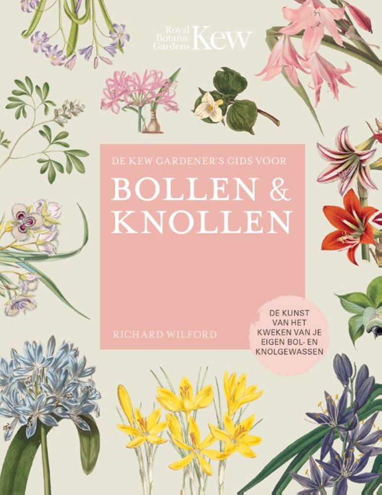 Load image into Gallery viewer, De kew gardener's gids voor bollen kno