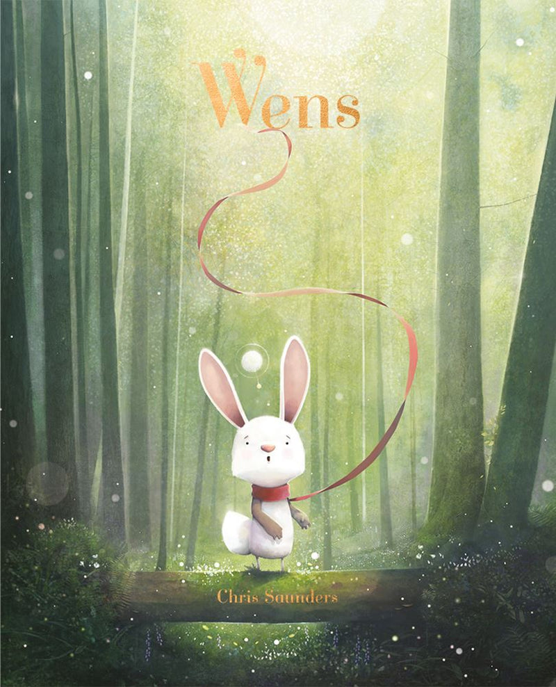 Load image into Gallery viewer, Prentenboek: wens. 3+