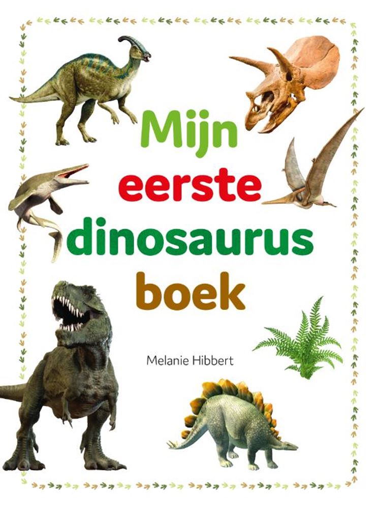 Load image into Gallery viewer, Rebo publishers mijn eerste dinosaurusboek 4+