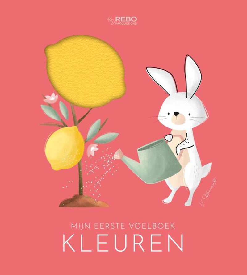 Load image into Gallery viewer, Rebo publishers kleuren - mijn eerste voelboek 0+