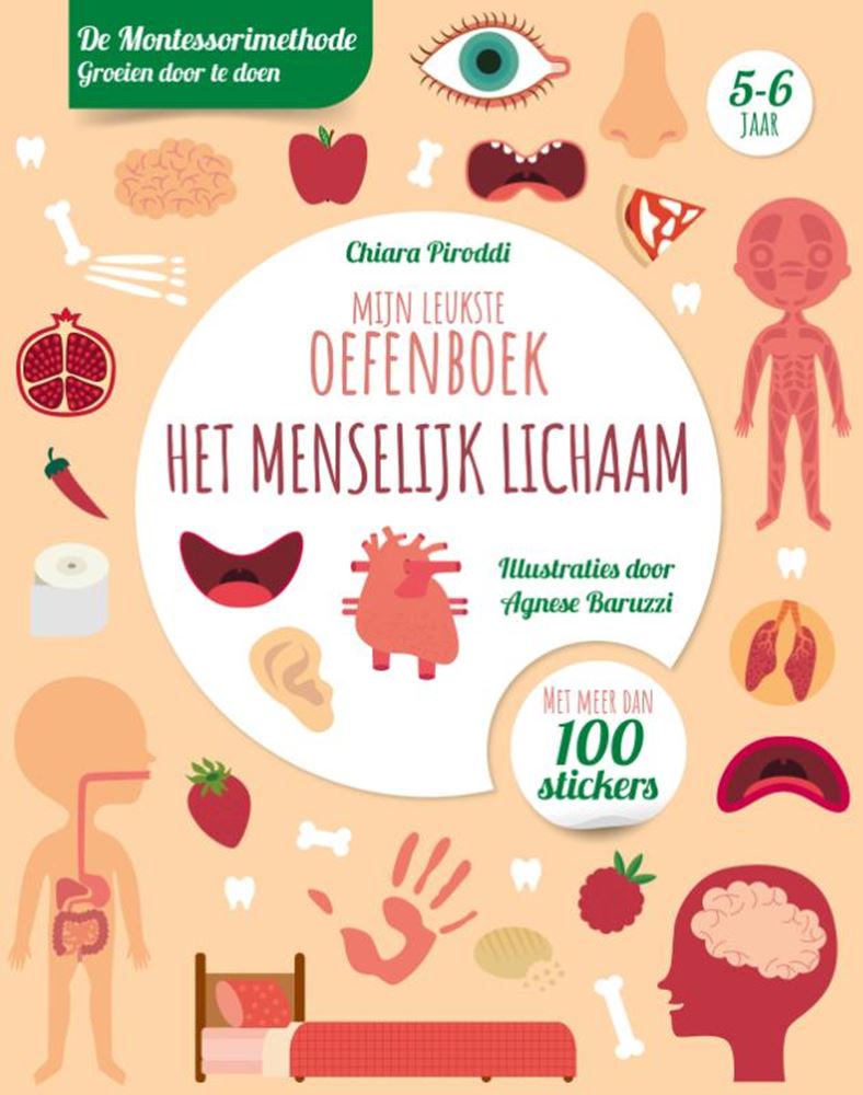 Load image into Gallery viewer, Rebo publishers mijn leukste oefenboek het menselijk lic