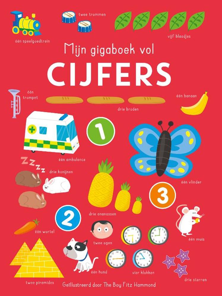 Load image into Gallery viewer, Rebo publishers mijn gigaboek vol cijfers