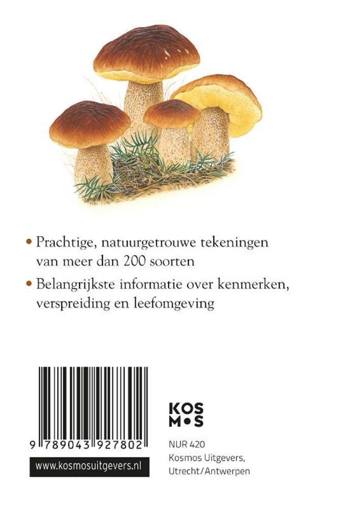 Load image into Gallery viewer, Compactgids: paddenstoelen (pb)