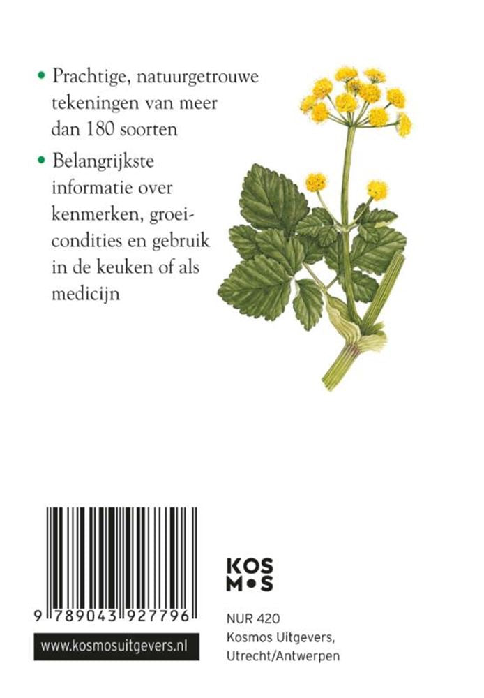 Load image into Gallery viewer, Compactgids kruiden volwassene