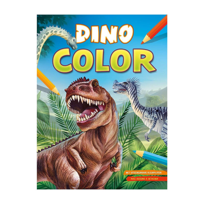 Load image into Gallery viewer, Deltas dino color kleurblok