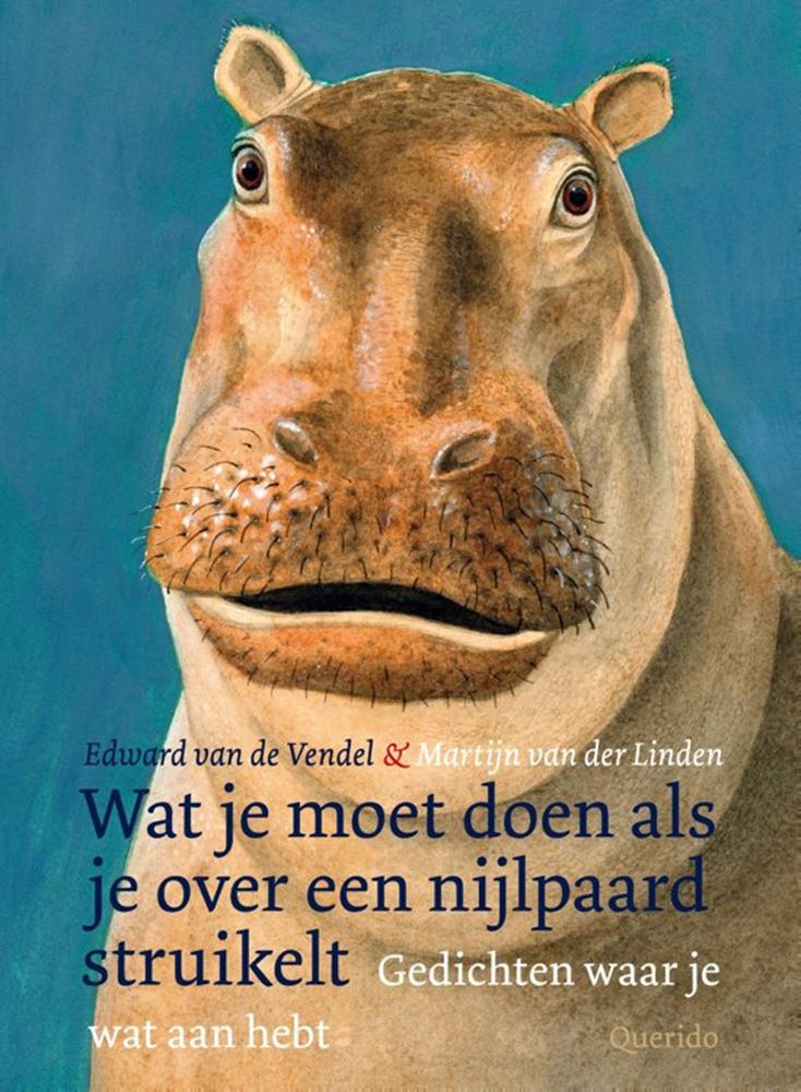 Load image into Gallery viewer, Wat je moet doen als je over een nijlpaa