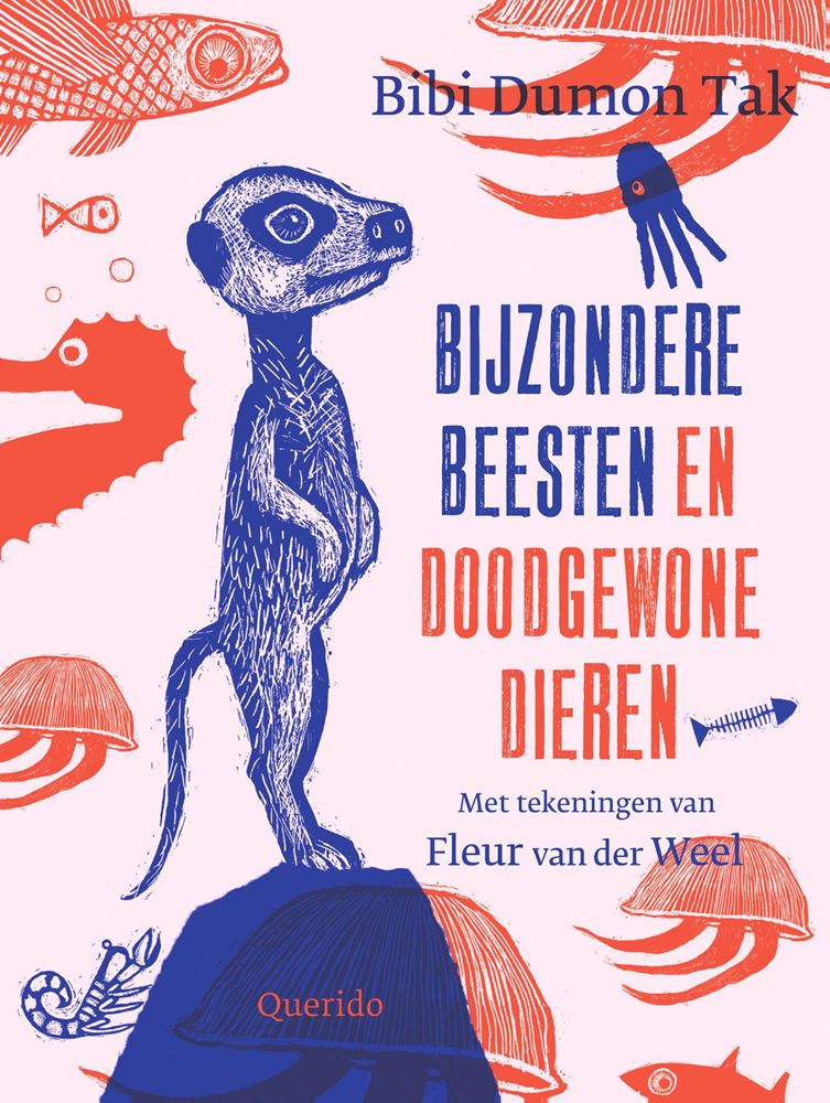 Load image into Gallery viewer, Bijzondere beesten en doodgewone dieren.