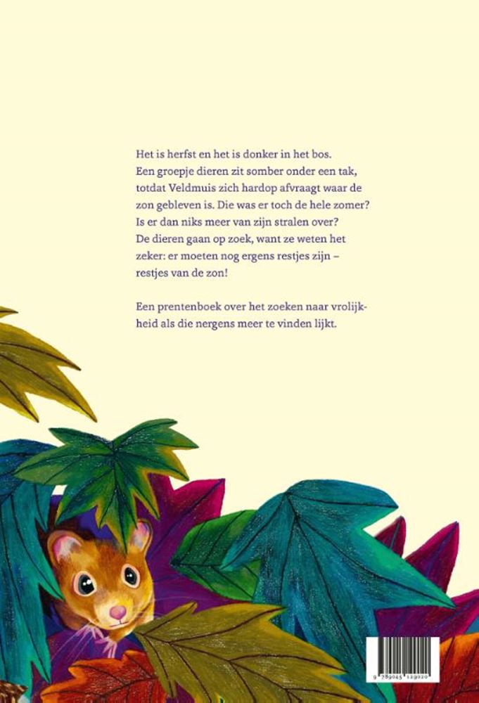 Load image into Gallery viewer, De restjes van de zon. 4+ zilveren griff