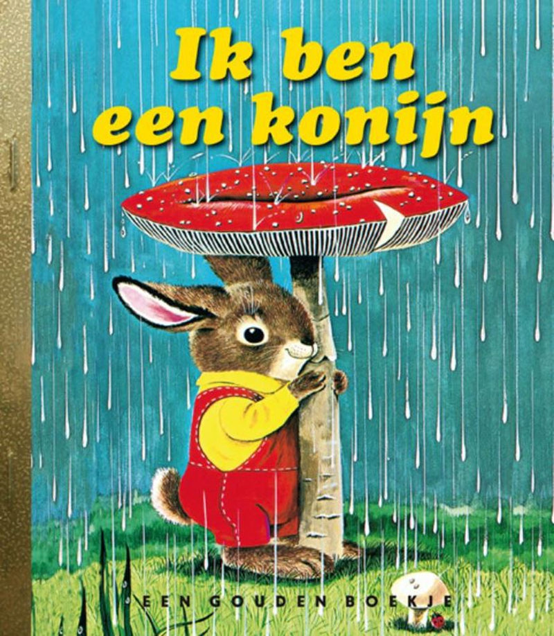Load image into Gallery viewer, Gb: ik ben een konijn. 3+