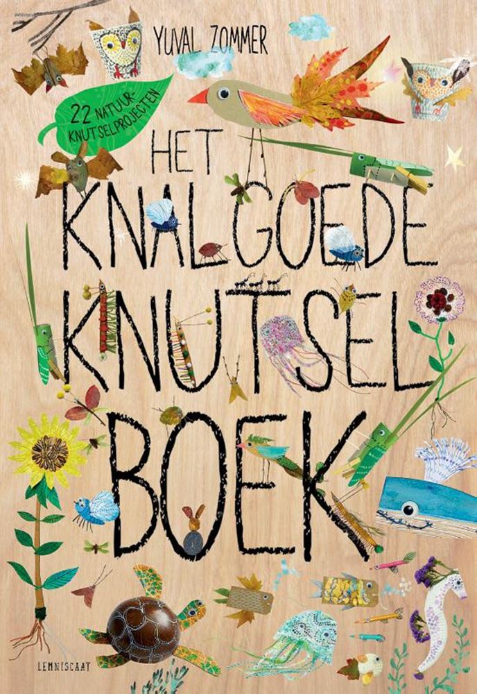 Load image into Gallery viewer, Het knalgoede knutselboek 8+