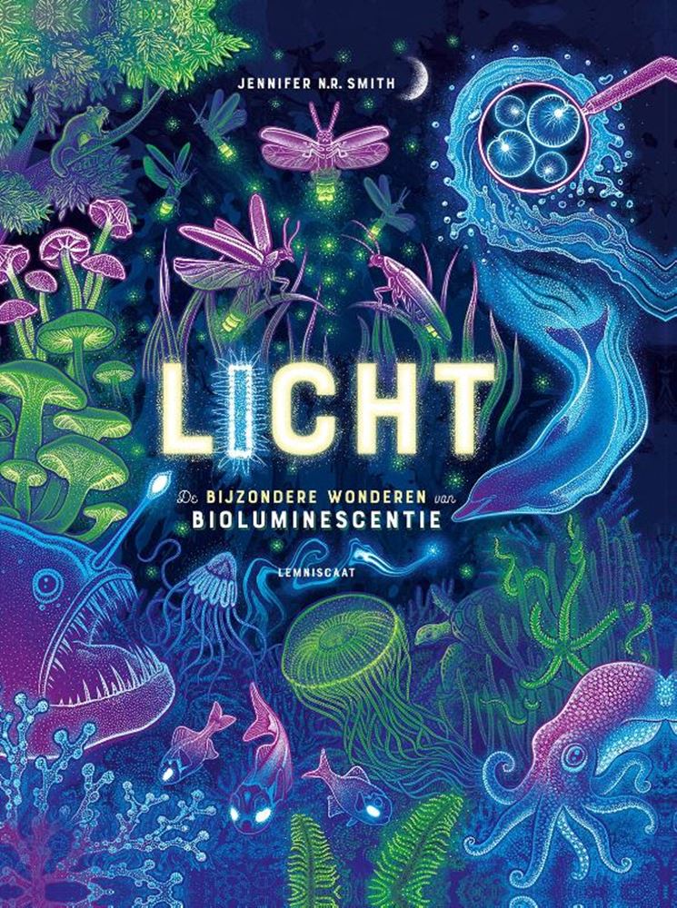 Load image into Gallery viewer, Licht 10+
