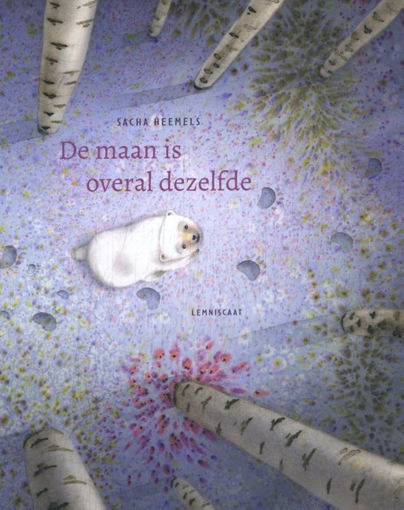 Load image into Gallery viewer, De maan is overal dezelfde 4+