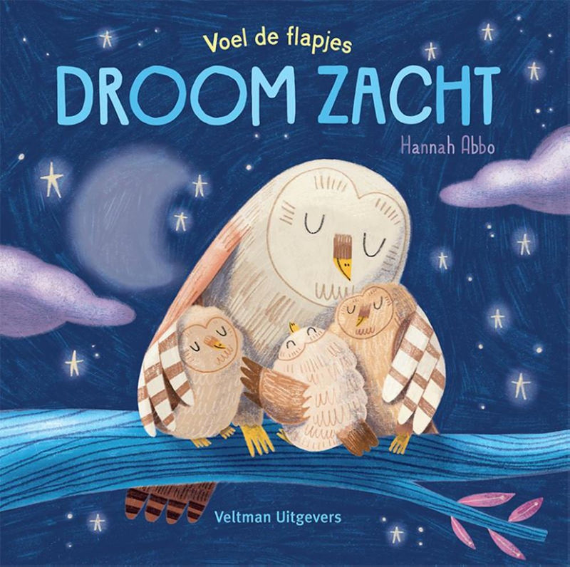 Load image into Gallery viewer, Droom zacht. kartonboek. 1+