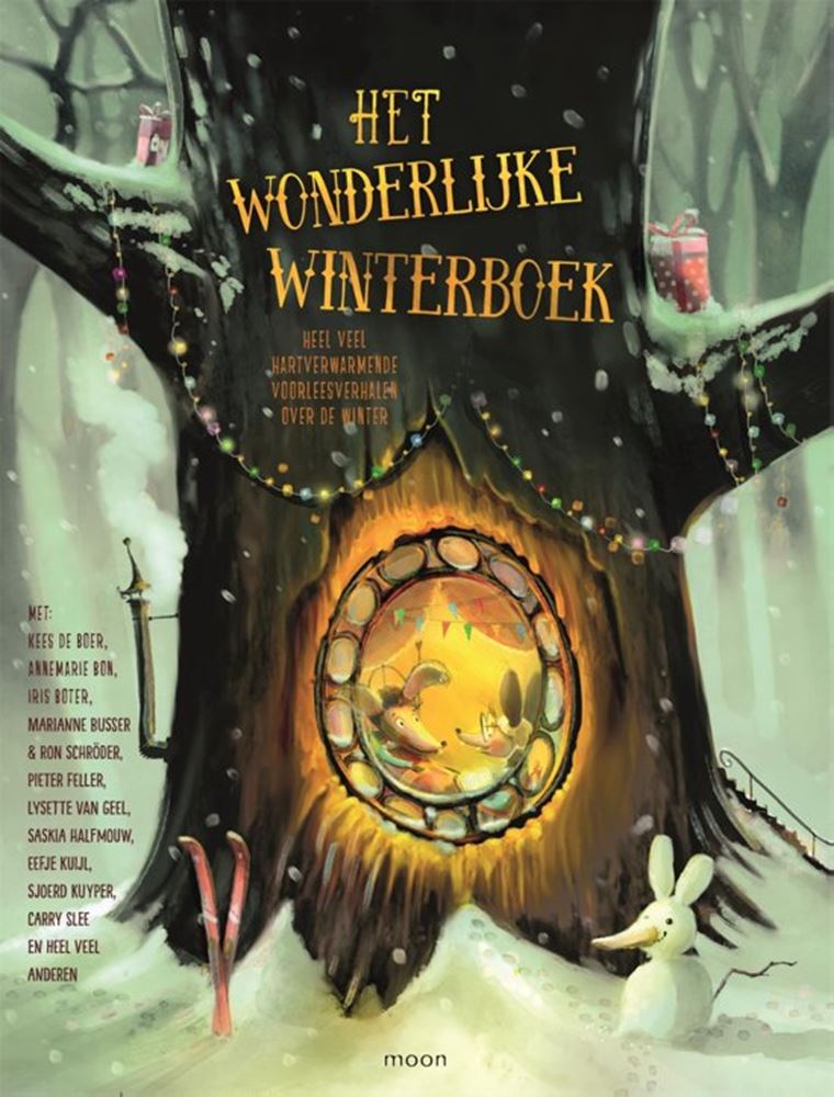 Load image into Gallery viewer, Het wonderlijke winterboek