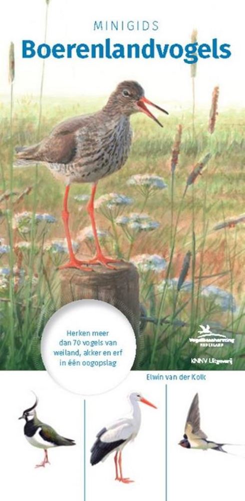 Load image into Gallery viewer, Minigids boerenlandvogels