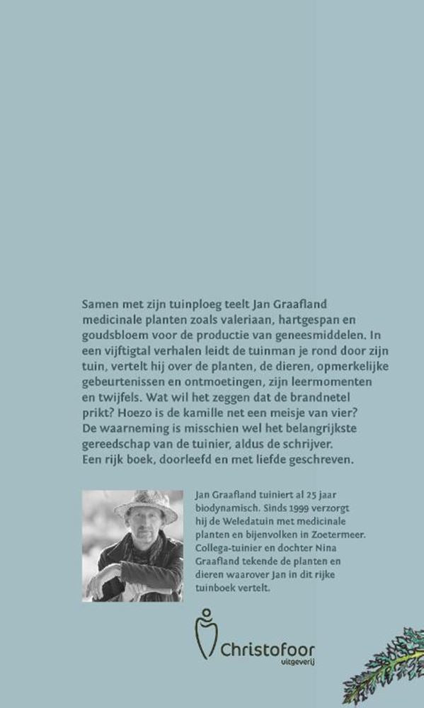 Load image into Gallery viewer, Groene genade.