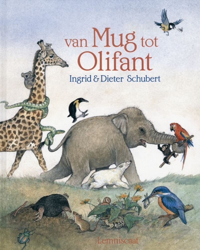 Load image into Gallery viewer, Van mug tot olifant. 5+
