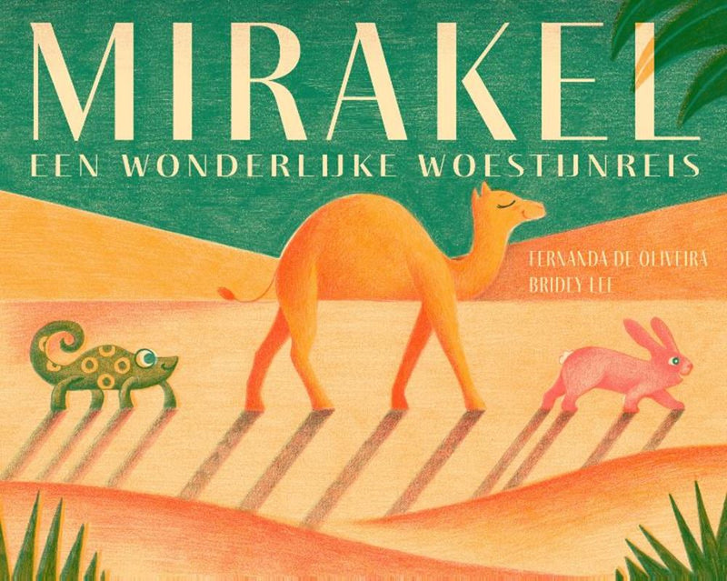 Load image into Gallery viewer, Prentenboek: mirakel 4+