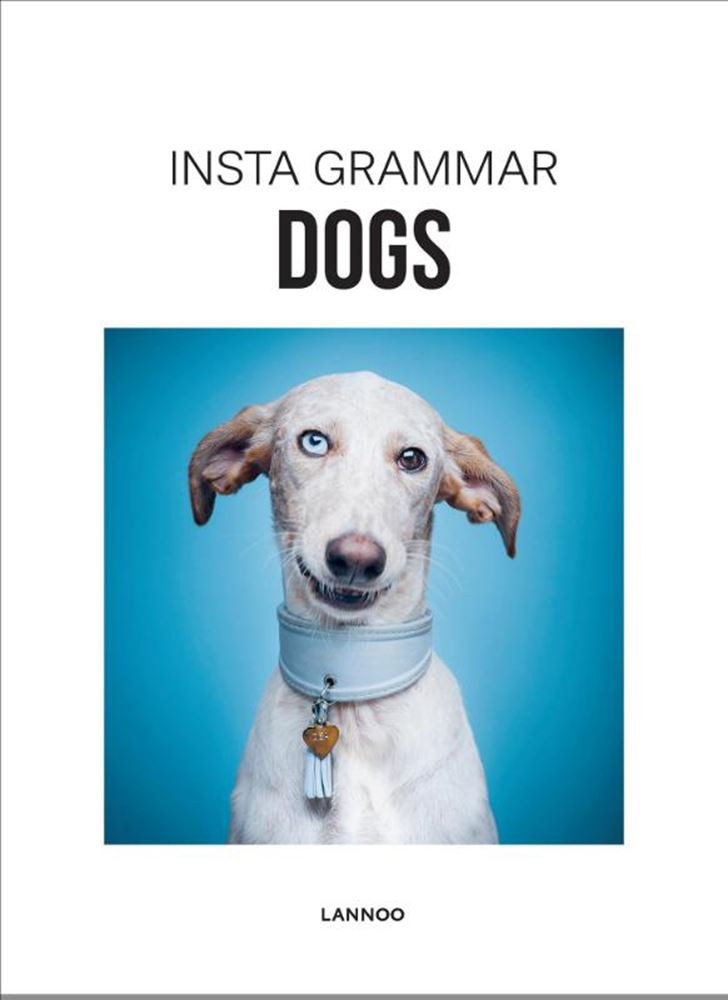 Load image into Gallery viewer, Insta grammar: dogs