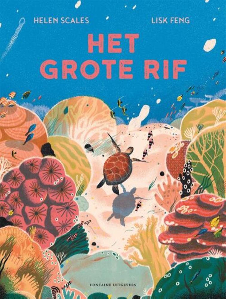 Load image into Gallery viewer, Het grote rif. 6+