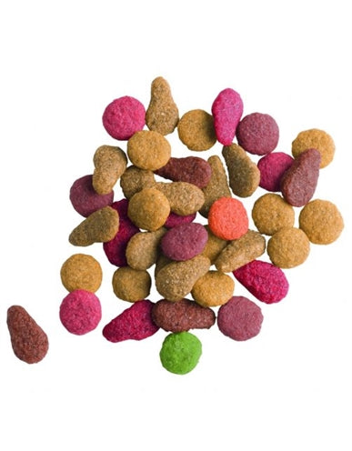 Load image into Gallery viewer, Lara Adult zalm