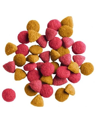 Load image into Gallery viewer, Lara Adult indoor kip eend