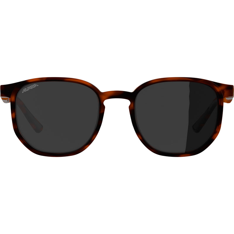 Load image into Gallery viewer, Olympic sportswear alpina sports lifestyle bril dimont zwarte lens havana